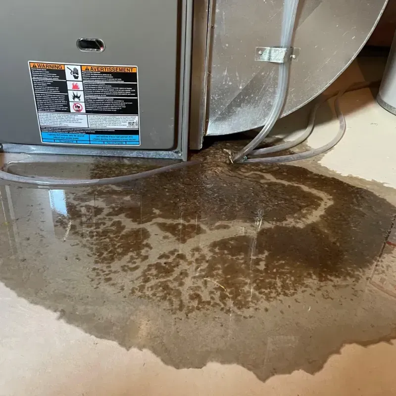 Appliance Leak Cleanup in Greeley, CO